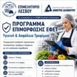 programma efet