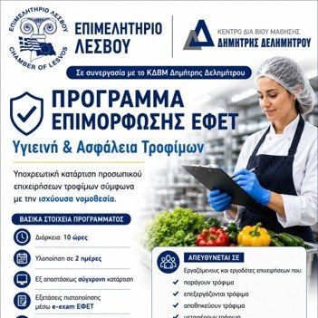 programma efet